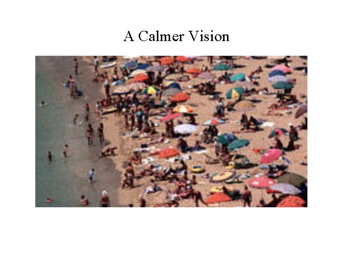 A Calmer Vision 