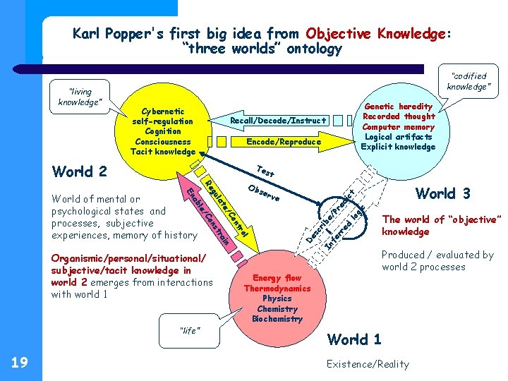 Karl Popper's first big idea from Objective Knowledge: “three worlds” ontology Cybernetic self-regulation Cognition