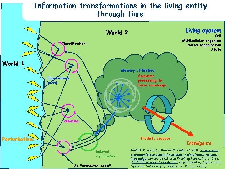 Information transformations in the living entity through time Living system World 2 Cell Multicellular