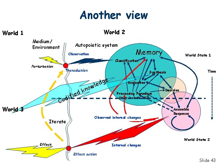 Another view World 2 World 1 Medium/ Environment Autopoietic system Observation Memory World State