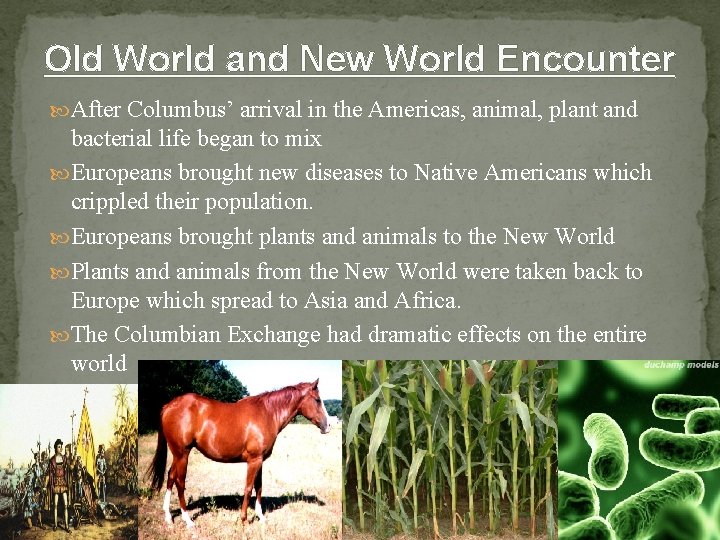 Old World and New World Encounter After Columbus’ arrival in the Americas, animal, plant