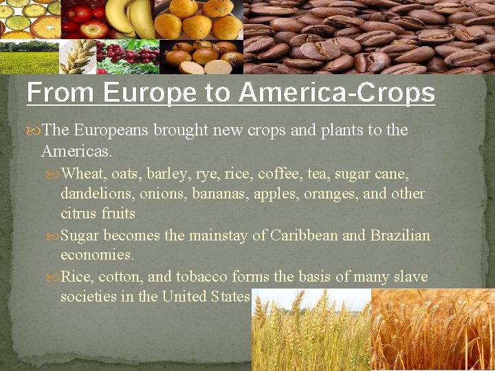 From Europe to America-Crops The Europeans brought new crops and plants to the Americas.