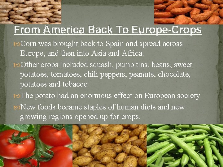 From America Back To Europe-Crops Corn was brought back to Spain and spread across