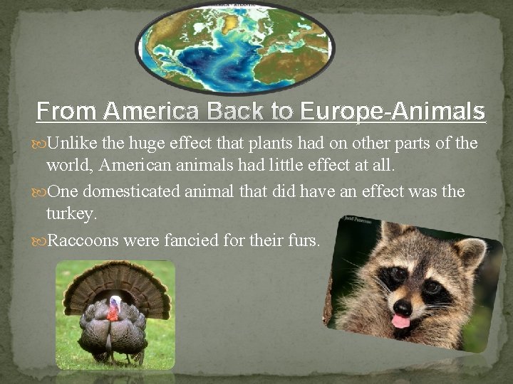 From America Back to Europe-Animals Unlike the huge effect that plants had on other