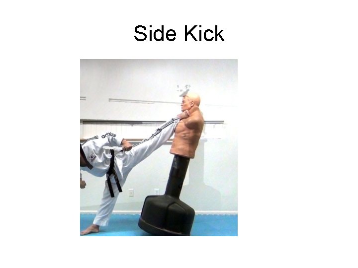 Side Kick 