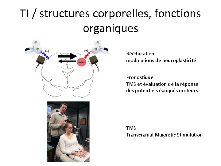 TI / structures corporelles, fonctions organiques Rééducation + modulations de neuroplasticité Pronostique TMS et
