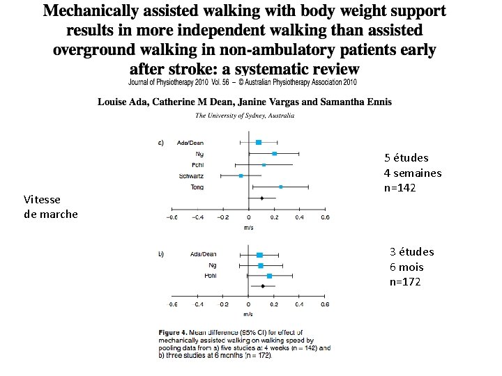 Vitesse de marche 5 études 4 semaines n=142 3 études 6 mois n=172 