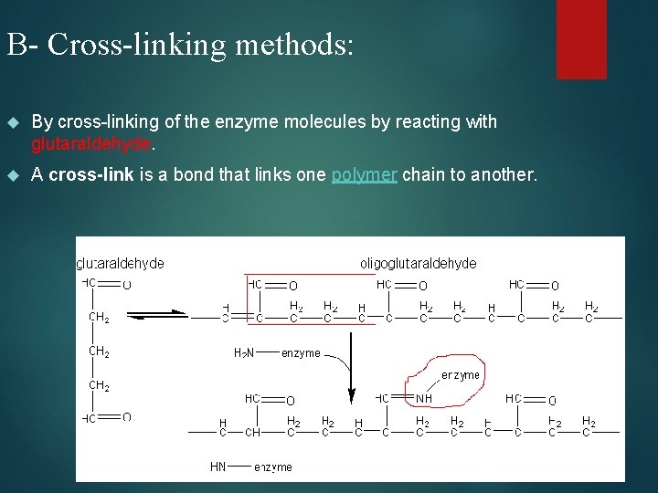 B- Cross-linking methods: By cross-linking of the enzyme molecules by reacting with glutaraldehyde. A
