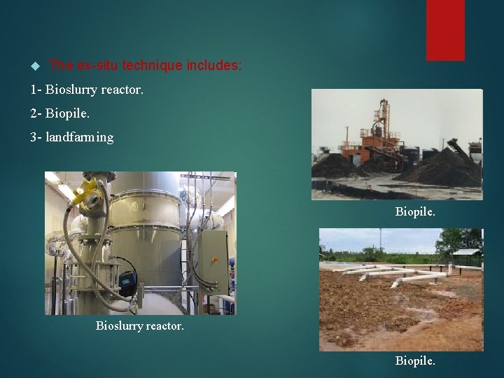  The ex-situ technique includes: 1 - Bioslurry reactor. 2 - Biopile. 3 -