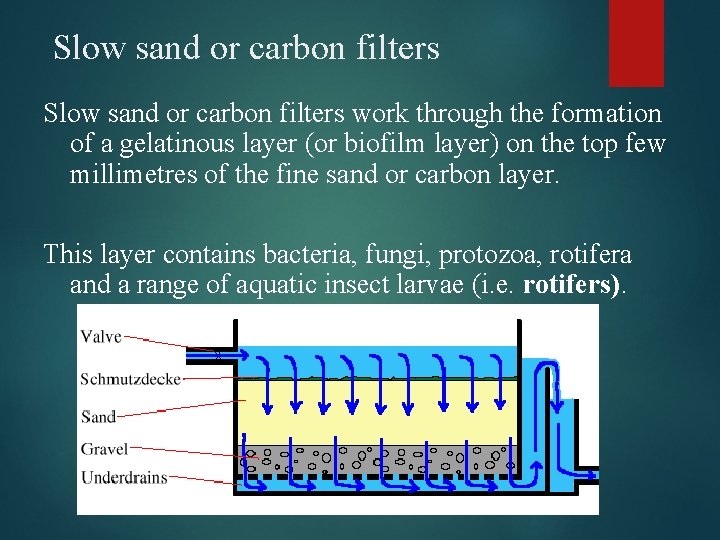 Slow sand or carbon filters work through the formation of a gelatinous layer (or