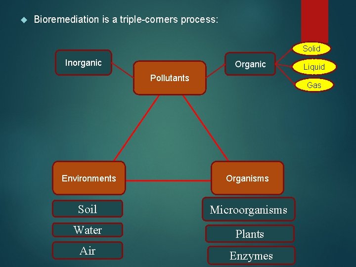  Bioremediation is a triple-corners process: Solid Inorganic Organic Pollutants Liquid Gas Environments Organisms