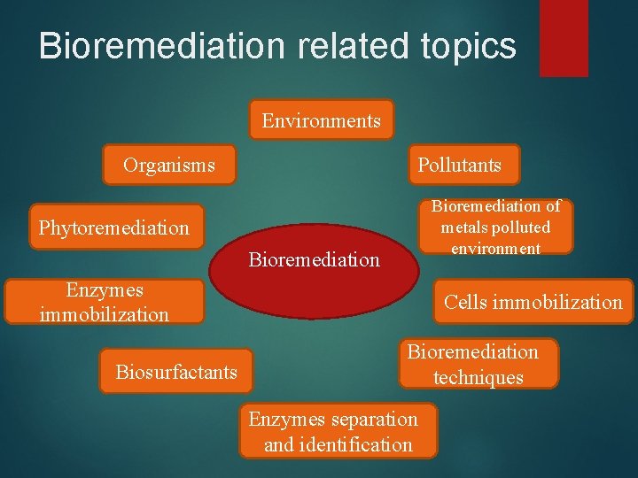 Bioremediation related topics Environments Organisms Pollutants Bioremediation of metals polluted environment Phytoremediation Bioremediation Enzymes