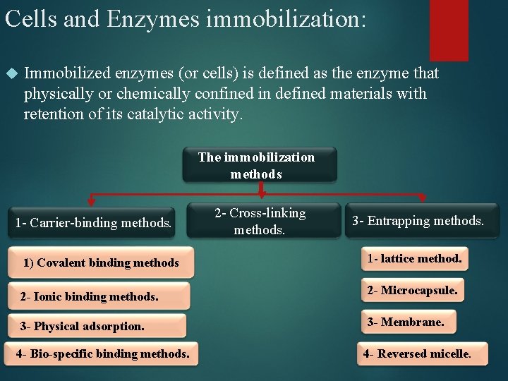 Cells and Enzymes immobilization: Immobilized enzymes (or cells) is defined as the enzyme that