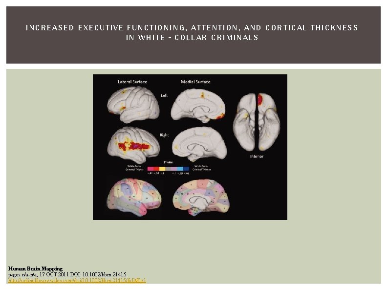 INCREASED EXECUTIVE FUNCTIONING, ATTENTION, AND CORTICAL THICKNESS IN WHITE‐COLLAR CRIMINALS Human Brain Mapping pages