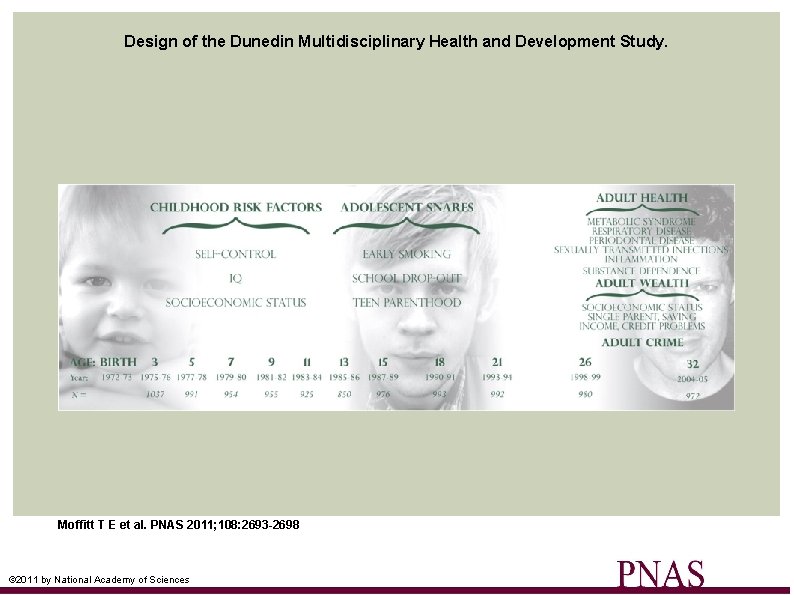 Design of the Dunedin Multidisciplinary Health and Development Study. Moffitt T E et al.