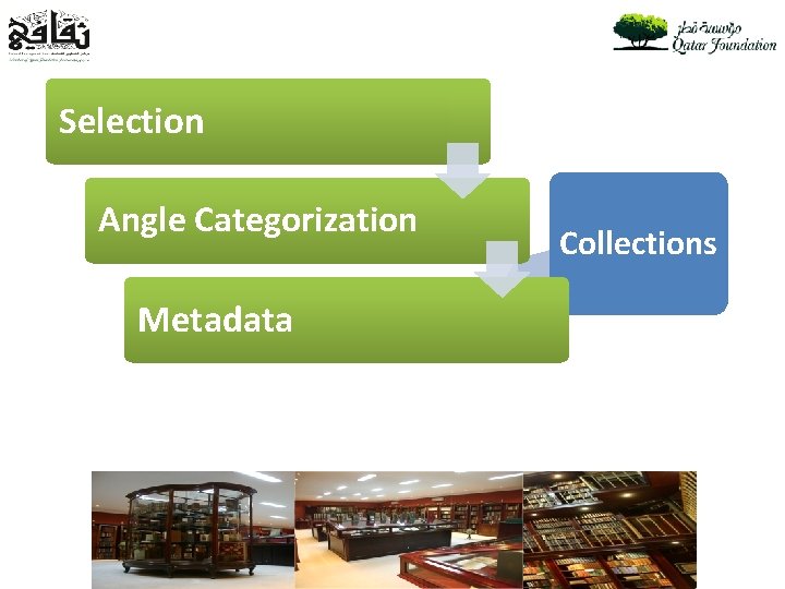 Selection Angle Categorization Metadata Collections 