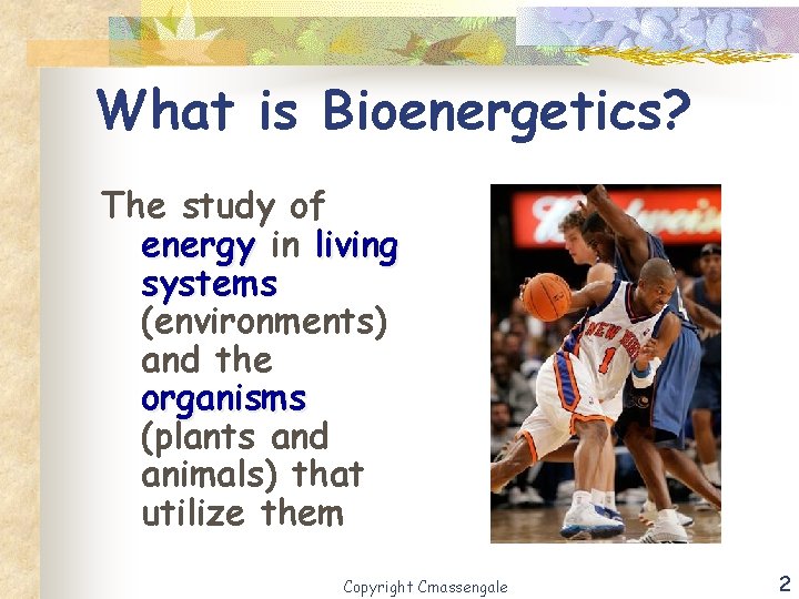 What is Bioenergetics? The study of energy in living systems (environments) and the organisms