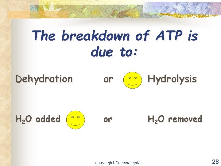 The breakdown of ATP is due to: Dehydration or Hydrolysis H 2 O added