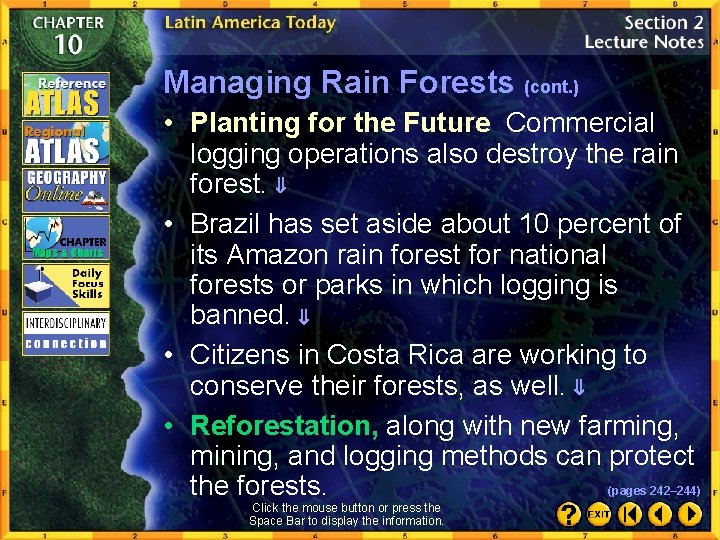 Managing Rain Forests (cont. ) • Planting for the Future Commercial logging operations also