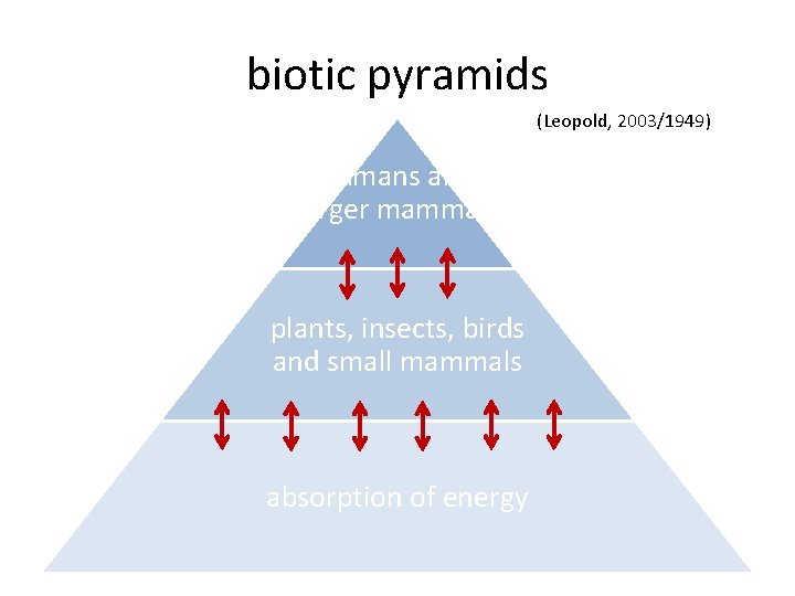 biotic pyramids (Leopold, 2003/1949) humans and larger mammals plants, insects, birds and small mammals