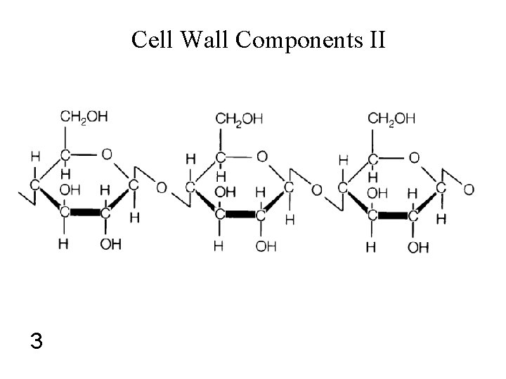 Cell Wall Components II 3 