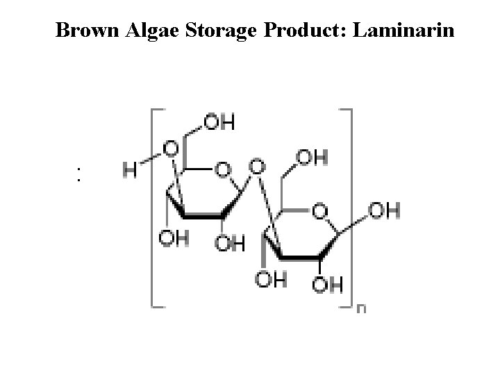 Brown Algae Storage Product: Laminarin : 