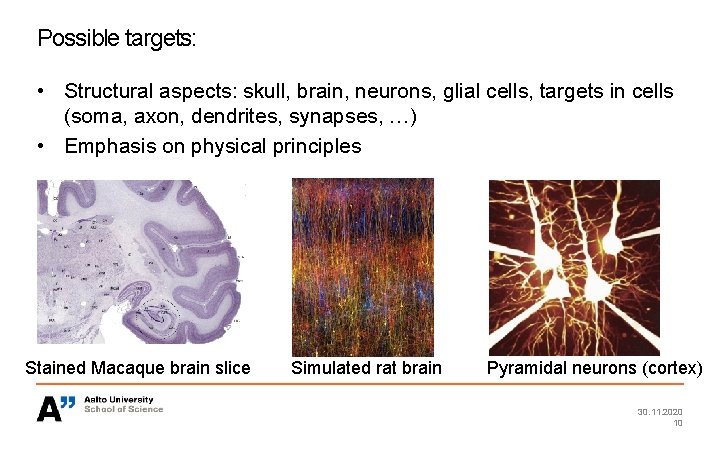 Possible targets: • Structural aspects: skull, brain, neurons, glial cells, targets in cells (soma,