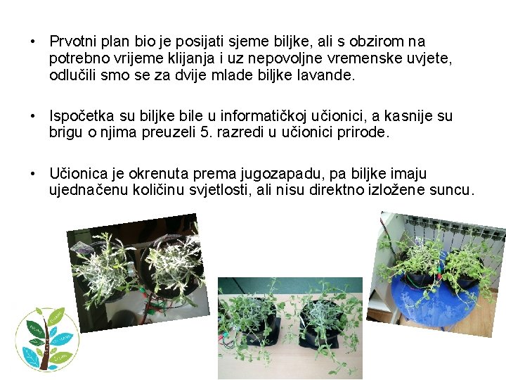  • Prvotni plan bio je posijati sjeme biljke, ali s obzirom na potrebno