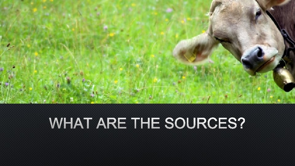 WHAT ARE THE SOURCES? 