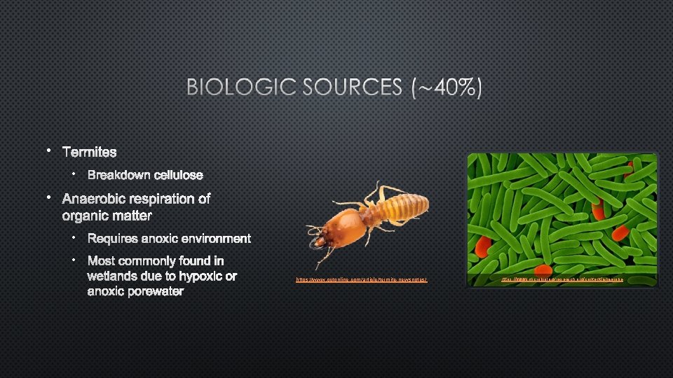  • TERMITES • BREAKDOWN CELLULOSE • ANAEROBIC RESPIRATION OF ORGANIC MATTER • REQUIRES