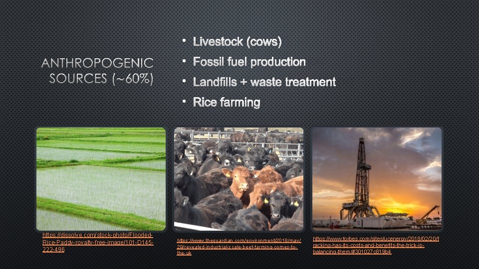  • LIVESTOCK (COWS) • FOSSIL FUEL PRODUCTION • LANDFILLS + WASTE TREATMENT •