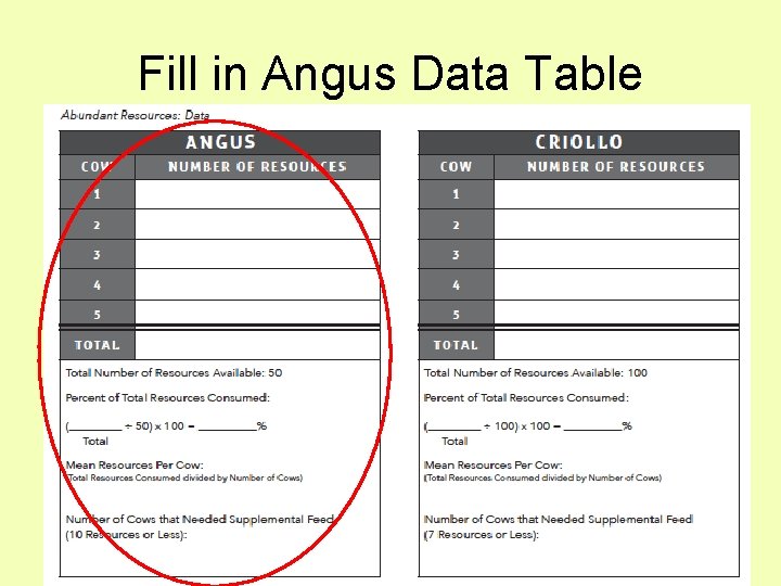 Fill in Angus Data Table 