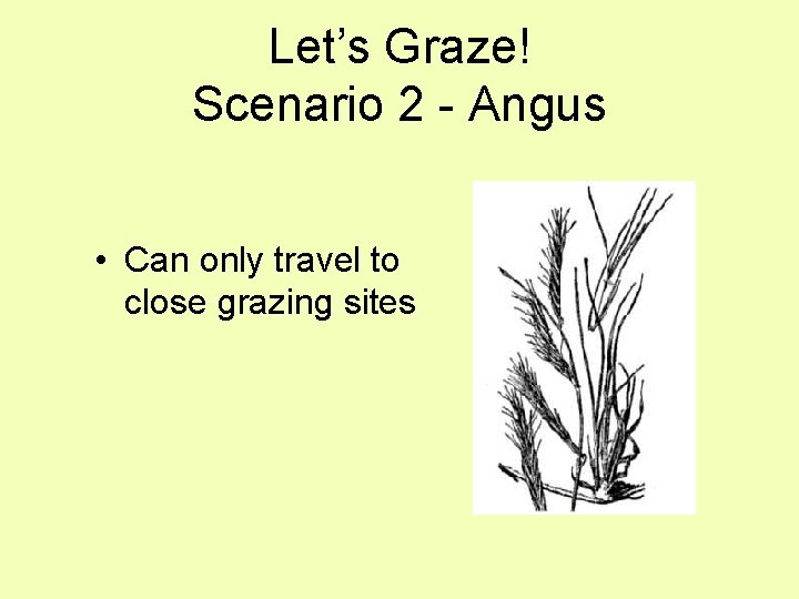 Let’s Graze! Scenario 2 - Angus • Can only travel to close grazing sites