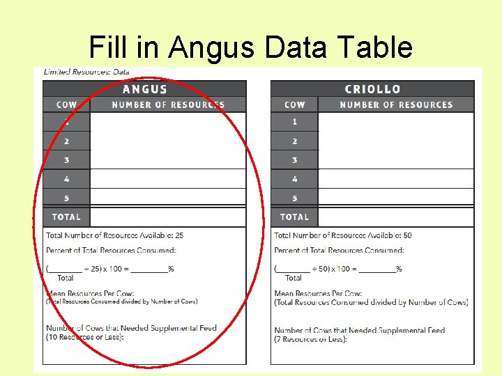 Fill in Angus Data Table 