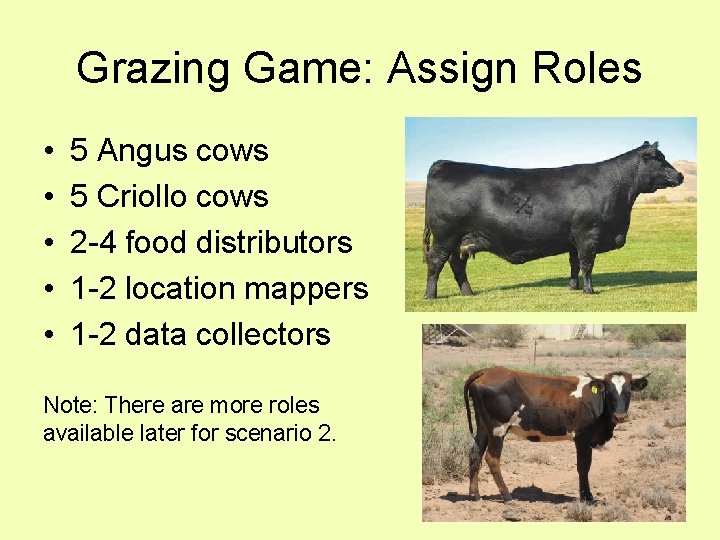 Grazing Game: Assign Roles • • • 5 Angus cows 5 Criollo cows 2