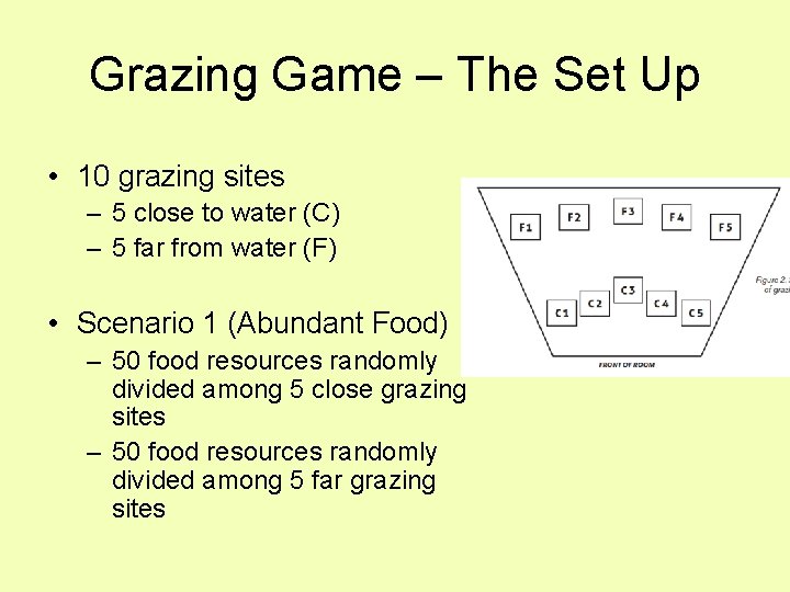 Grazing Game – The Set Up • 10 grazing sites – 5 close to