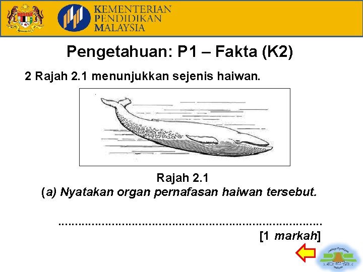 Pengetahuan: P 1 – Fakta (K 2) 2 Rajah 2. 1 menunjukkan sejenis haiwan.