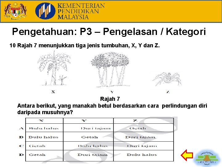 Pengetahuan: P 3 – Pengelasan / Kategori 10 Rajah 7 menunjukkan tiga jenis tumbuhan,