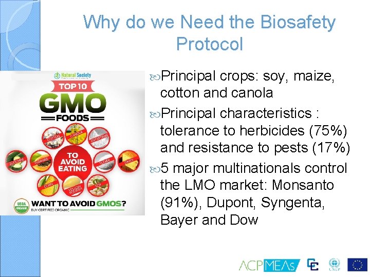 Why do we Need the Biosafety Protocol Principal crops: soy, maize, cotton and canola