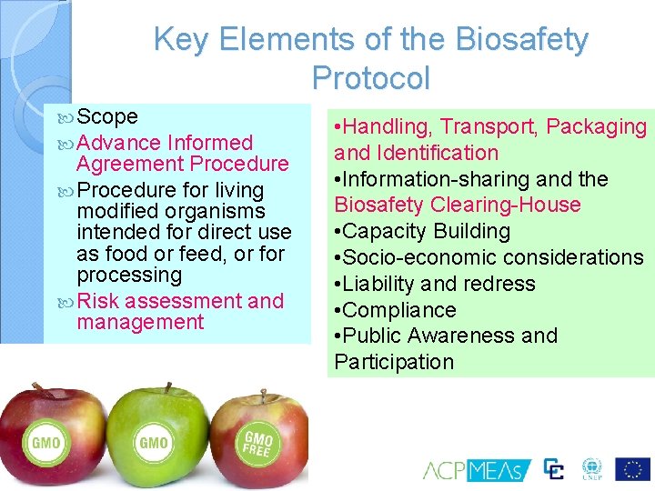 Key Elements of the Biosafety Protocol Scope Advance Informed Agreement Procedure for living modified