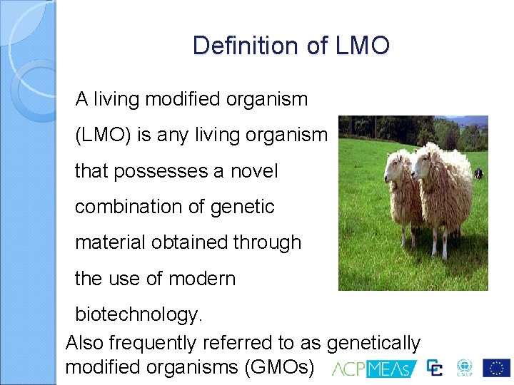 Definition of LMO A living modified organism (LMO) is any living organism that possesses