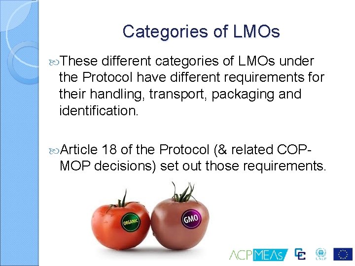 Categories of LMOs These different categories of LMOs under the Protocol have different requirements