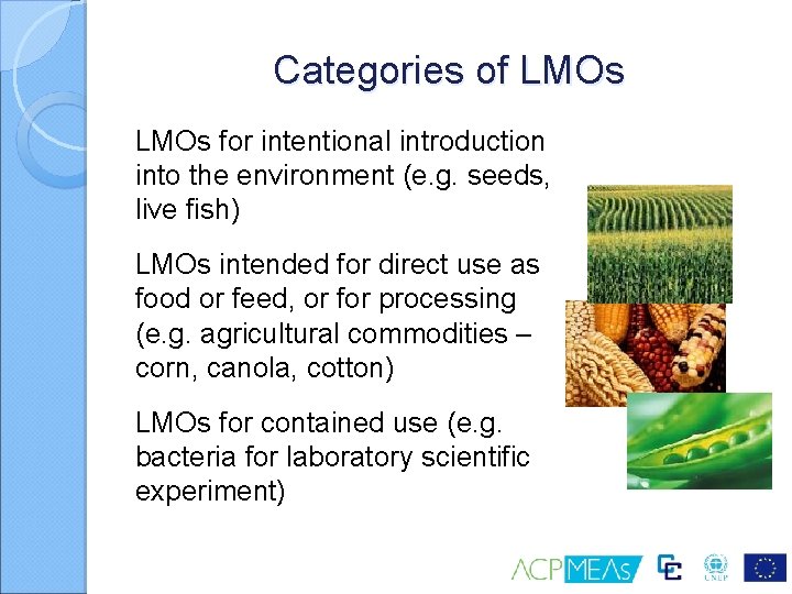 Categories of LMOs for intentional introduction into the environment (e. g. seeds, live fish)