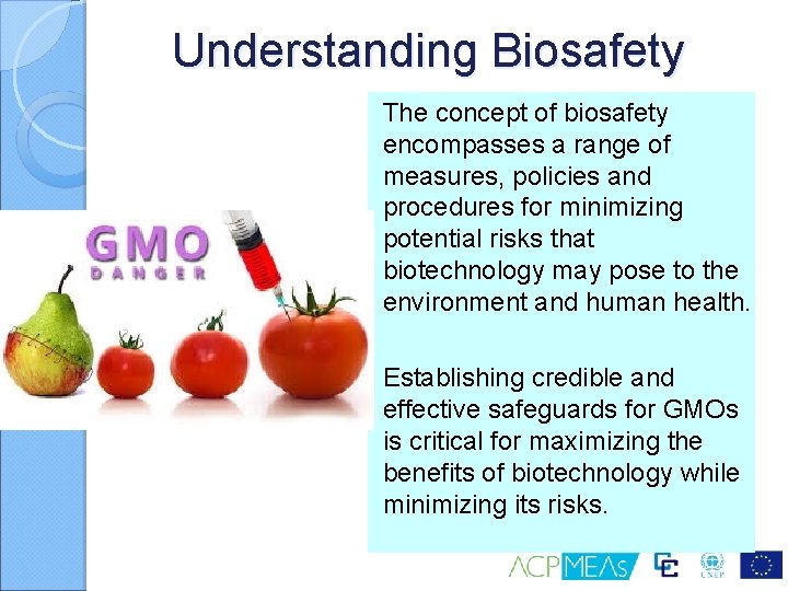Understanding Biosafety The concept of biosafety encompasses a range of measures, policies and procedures