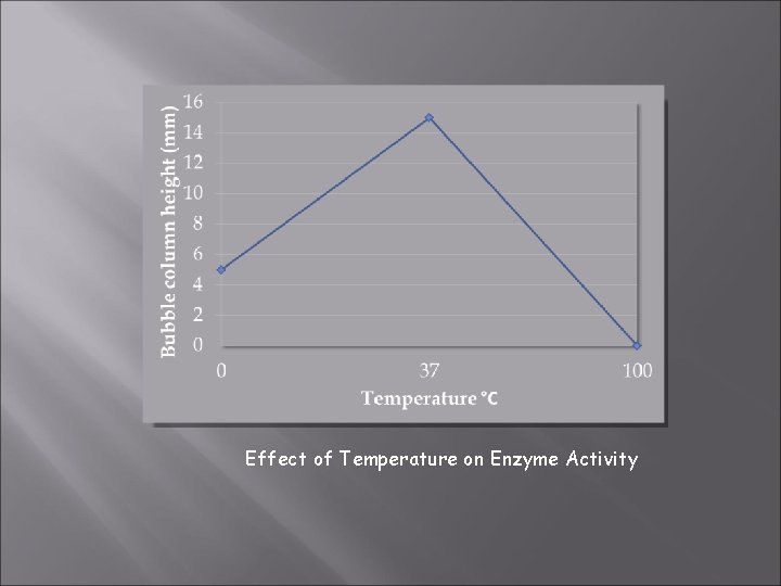 Effect of Temperature on Enzyme Activity 