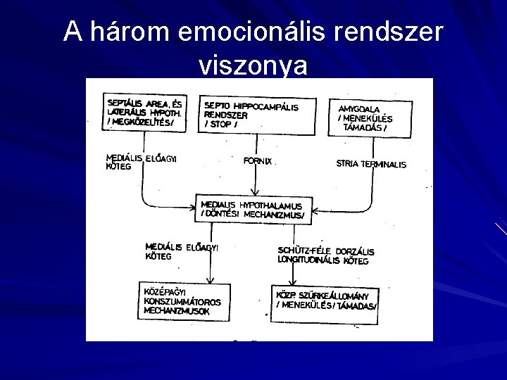 A három emocionális rendszer viszonya 