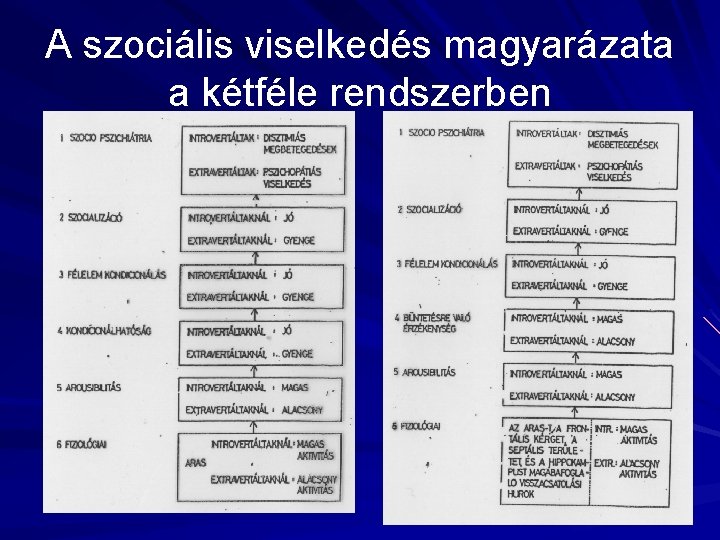 A szociális viselkedés magyarázata a kétféle rendszerben 