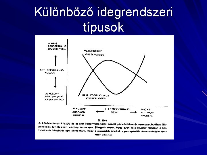 Különböző idegrendszeri típusok 