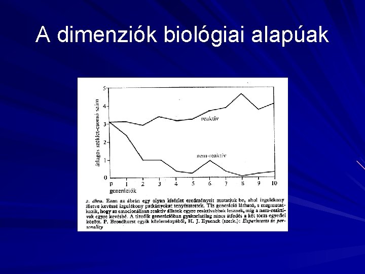 A dimenziók biológiai alapúak 