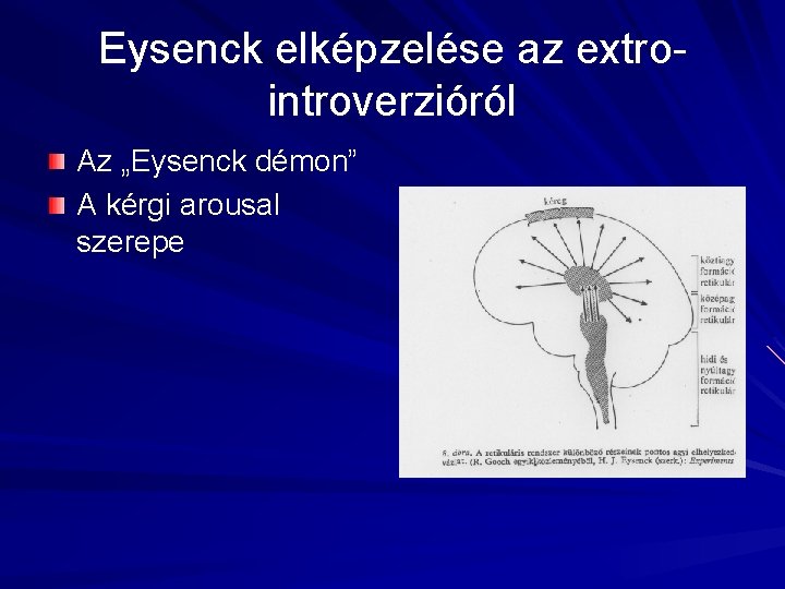 Eysenck elképzelése az extrointroverzióról Az „Eysenck démon” A kérgi arousal szerepe 